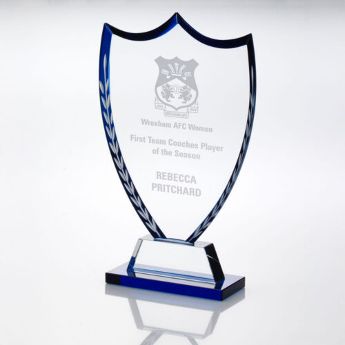 Blue Wreath Edged Glass Shield