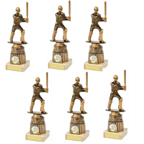 Cricket Batting Bundle - 6 x 18cm Trophies with FREE engraving