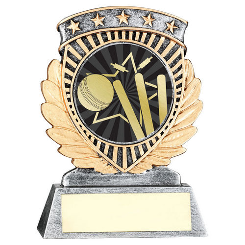 5 Star Cricket Ball & Stumps Trophy