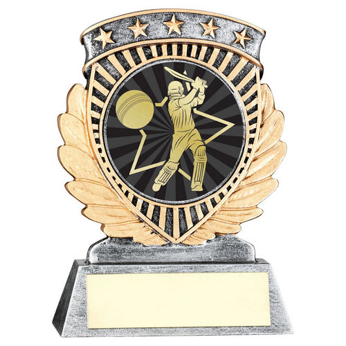 5 Star Cricket Batsman Trophy