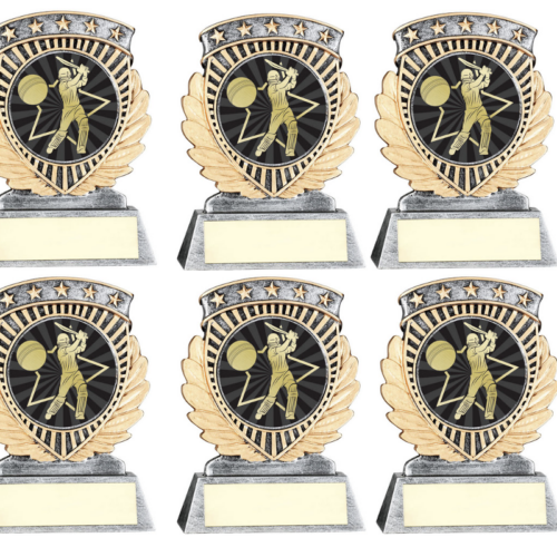 Cricket 5* Batting Bundle - 6 x 9.5cm Trophies with FREE engraving