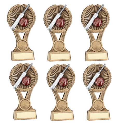 Cricket Bat & Ball Bundle - 6 x 18cm Trophies with FREE engraving
