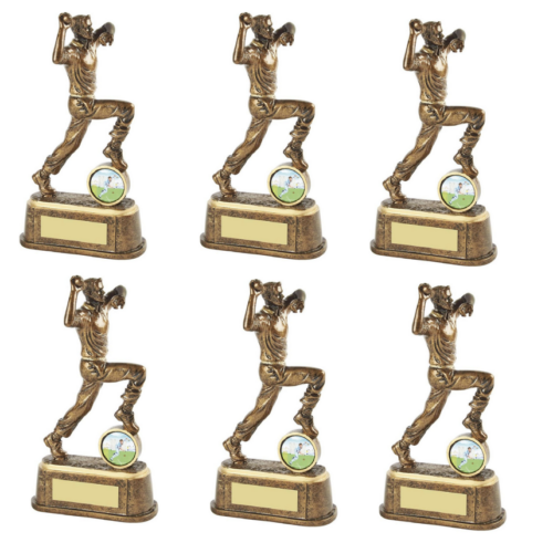 Cricket Bowling Bundle - 6 x 18cm Trophies with FREE engraving